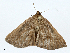  ( - CBG-A00266-C09)  @11 [ ] CreativeCommons - Attribution (2023) CBG Photography Group Centre for Biodiversity Genomics
