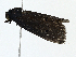  ( - CBG-A00266-D02)  @11 [ ] CreativeCommons - Attribution (2023) CBG Photography Group Centre for Biodiversity Genomics