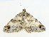  ( - CBG-A00268-B01)  @11 [ ] CreativeCommons - Attribution (2023) CBG Photography Group Centre for Biodiversity Genomics
