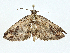  ( - CBG-A00269-A07)  @11 [ ] CreativeCommons - Attribution (2023) CBG Photography Group Centre for Biodiversity Genomics