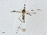  ( - CBG-A02909-C11)  @11 [ ] CreativeCommons - Attribution (2023) CBG Photography Group Centre for Biodiversity Genomics