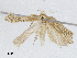  ( - CBG-A02909-F05)  @11 [ ] CreativeCommons - Attribution (2023) CBG Photography Group Centre for Biodiversity Genomics