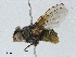  ( - CBG-A04547-E12)  @11 [ ] CreativeCommons - Attribution (2023) CBG Photography Group Centre for Biodiversity Genomics