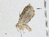  ( - CBG-A04547-G06)  @11 [ ] CreativeCommons - Attribution (2023) CBG Photography Group Centre for Biodiversity Genomics