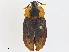  ( - CBG-A04548-C03)  @11 [ ] CreativeCommons - Attribution (2023) CBG Photography Group Centre for Biodiversity Genomics