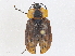  ( - CBG-A04548-C04)  @11 [ ] CreativeCommons - Attribution (2023) CBG Photography Group Centre for Biodiversity Genomics