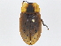  ( - CBG-A04548-C08)  @11 [ ] CreativeCommons - Attribution (2023) CBG Photography Group Centre for Biodiversity Genomics