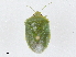  ( - CBG-A04549-B09)  @11 [ ] CreativeCommons - Attribution (2023) CBG Photography Group Centre for Biodiversity Genomics