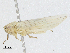  ( - CBG-A04552-B03)  @11 [ ] CreativeCommons - Attribution (2023) CBG Photography Group Centre for Biodiversity Genomics