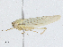  ( - CBG-A04552-B05)  @11 [ ] CreativeCommons - Attribution (2023) CBG Photography Group Centre for Biodiversity Genomics