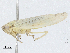  ( - CBG-A04552-B06)  @11 [ ] CreativeCommons - Attribution (2023) CBG Photography Group Centre for Biodiversity Genomics