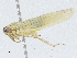  ( - CBG-A04552-B08)  @11 [ ] CreativeCommons - Attribution (2023) CBG Photography Group Centre for Biodiversity Genomics