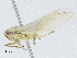  ( - CBG-A04552-B10)  @11 [ ] CreativeCommons - Attribution (2023) CBG Photography Group Centre for Biodiversity Genomics