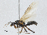  ( - CBG-A04552-F08)  @11 [ ] CreativeCommons - Attribution (2023) CBG Photography Group Centre for Biodiversity Genomics