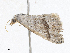  ( - CBG-A28404-H05)  @11 [ ] CreativeCommons - Attribution Share-Alike (2024) CBG Photography Group Centre for Biodiversity Genomics