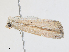  ( - CBG-A28437-G06)  @11 [ ] CreativeCommons - Attribution Share-Alike (2024) CBG Photography Group Centre for Biodiversity Genomics
