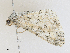  ( - CBG-A28438-F05)  @11 [ ] CreativeCommons - Attribution Share-Alike (2024) CBG Photography Group Centre for Biodiversity Genomics