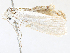 ( - CBG-A28439-E12)  @11 [ ] CreativeCommons - Attribution Share-Alike (2024) CBG Photography Group Centre for Biodiversity Genomics