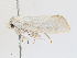  ( - CBG-A28440-A06)  @11 [ ] CreativeCommons - Attribution Share-Alike (2024) CBG Photography Group Centre for Biodiversity Genomics