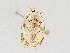  ( - CBG-A28440-G10)  @11 [ ] CreativeCommons - Attribution Share-Alike (2024) CBG Photography Group Centre for Biodiversity Genomics