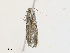  ( - CBG-A28442-A01)  @11 [ ] CreativeCommons - Attribution Share-Alike (2024) CBG Photography Group Centre for Biodiversity Genomics