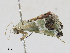  ( - CBG-A28442-A12)  @11 [ ] CreativeCommons - Attribution Share-Alike (2024) CBG Photography Group Centre for Biodiversity Genomics