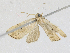  ( - CBG-A28442-B09)  @11 [ ] CreativeCommons - Attribution Share-Alike (2024) CBG Photography Group Centre for Biodiversity Genomics