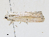  ( - CBG-A28443-G08)  @11 [ ] CreativeCommons - Attribution Share-Alike (2024) CBG Photography Group Centre for Biodiversity Genomics