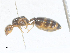  ( - CBG-A27628-H03)  @11 [ ] CreativeCommons - Attribution Share-Alike (2024) CBG Photography Group Centre for Biodiversity Genomics