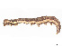  ( - CBG-A28466-H08)  @11 [ ] CreativeCommons - Attribution (2024) CBG Photography Group Centre for Biodiversity Genomics