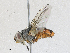  ( - CBG-A28468-C07)  @11 [ ] CreativeCommons - Attribution Share-Alike (2024) CBG Photography Group Centre for Biodiversity Genomics