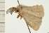  ( - 08-NSWHH-0416)  @13 [ ] CreativeCommons - Attribution (2009) Unspecified Centre for Biodiversity Genomics