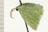  ( - 08-NSWHH-0583)  @12 [ ] CreativeCommons - Attribution (2009) Unspecified Centre for Biodiversity Genomics