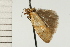  ( - 08-NSWHH-0837)  @13 [ ] CreativeCommons - Attribution (2009) Unspecified Centre for Biodiversity Genomics