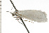 ( - 08-NSWHH-0882)  @12 [ ] CreativeCommons - Attribution (2009) Unspecified Centre for Biodiversity Genomics