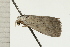  ( - 08-NSWHH-0895)  @12 [ ] CreativeCommons - Attribution (2009) Unspecified Centre for Biodiversity Genomics