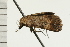  ( - 08-NSWHH-0912)  @13 [ ] CreativeCommons - Attribution (2009) Unspecified Centre for Biodiversity Genomics