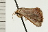  ( - 08-NSWHH-0915)  @12 [ ] CreativeCommons - Attribution (2009) Unspecified Centre for Biodiversity Genomics