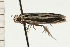  ( - 08-NSWHH-0922)  @13 [ ] CreativeCommons - Attribution (2009) Unspecified Centre for Biodiversity Genomics