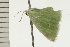  ( - 08-NSWHH-0944)  @12 [ ] CreativeCommons - Attribution (2009) Unspecified Centre for Biodiversity Genomics