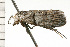  ( - 08-NSWHH-0947)  @12 [ ] CreativeCommons - Attribution (2009) Unspecified Centre for Biodiversity Genomics