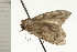  ( - 08-NSWHH-0956)  @13 [ ] CreativeCommons - Attribution (2009) Unspecified Centre for Biodiversity Genomics