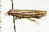  ( - 08-NSWHH-0961)  @13 [ ] CreativeCommons - Attribution (2009) Unspecified Centre for Biodiversity Genomics