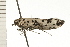  ( - 08-NSWHH-0986)  @12 [ ] CreativeCommons - Attribution (2009) Unspecified Centre for Biodiversity Genomics