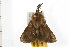  ( - 08-NSWHH-0300)  @13 [ ] CreativeCommons - Attribution (2009) Unspecified Centre for Biodiversity Genomics