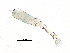  ( - 08-NSWHH-1048)  @11 [ ] CreativeCommons - Attribution (2018) CBG Photography Group Centre for Biodiversity Genomics