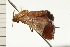  ( - 08-NSWHH-1012)  @12 [ ] CreativeCommons - Attribution (2009) Unspecified Centre for Biodiversity Genomics