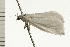  ( - 08-NSWHH-1020)  @12 [ ] CreativeCommons - Attribution (2009) Unspecified Centre for Biodiversity Genomics