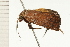 ( - 08-NSWHH-1030)  @12 [ ] CreativeCommons - Attribution (2009) Unspecified Centre for Biodiversity Genomics
