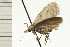  ( - 08-NSWHH-1043)  @12 [ ] CreativeCommons - Attribution (2009) Unspecified Centre for Biodiversity Genomics